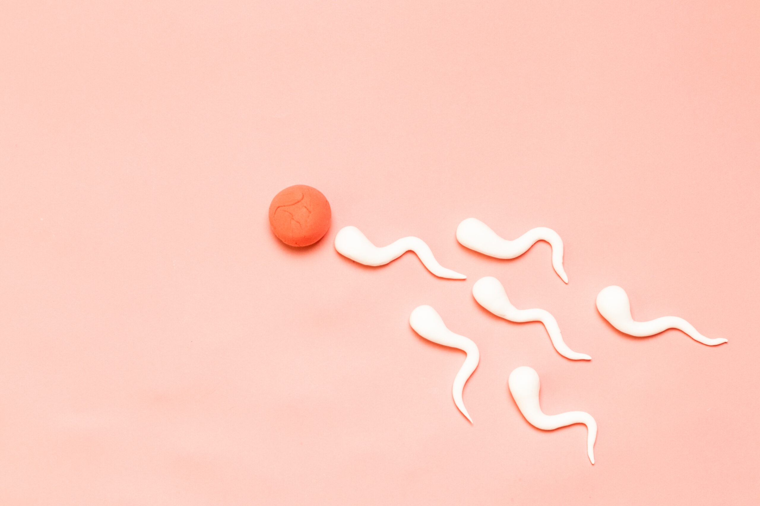 Graphical representation of human sperm and human egg